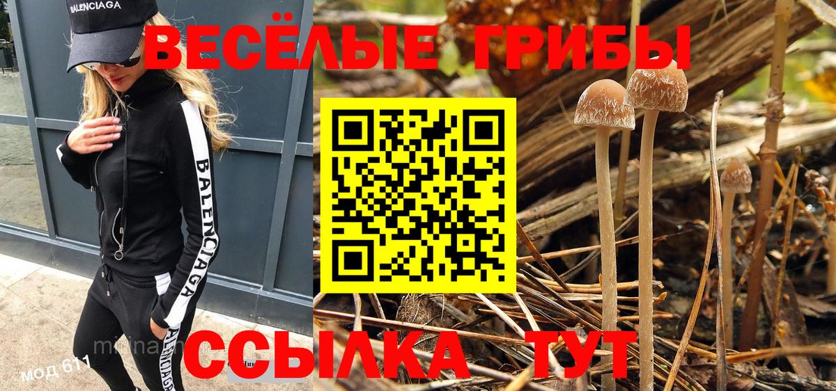 Курчатов  Псилоцибиновые грибы GOLDEN TEACHER  Вход с VPN 