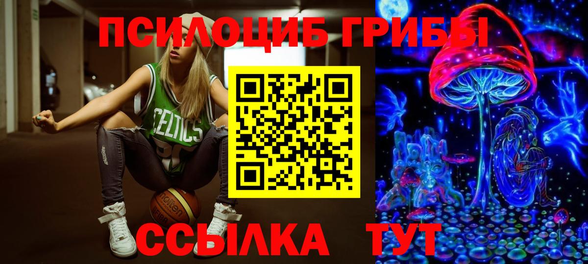 Псилоцибиновые грибы GOLDEN TEACHER Курчатов